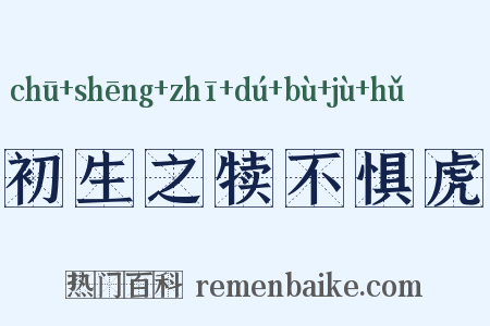 初生之犊不惧虎是什么意思的图片